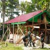 Pembangunan Rumah TMMD Capai Lima Puluh Delapan Persen