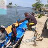 Kementerian Kehutanan Tanam Sembilan Ratus Mangrove Raja Ampat Untuk Menjaga Kelestarian Kawasan