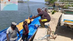 Kementerian Kehutanan Tanam Sembilan Ratus Mangrove Raja Ampat Untuk Menjaga Kelestarian Kawasan