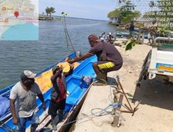 Kementerian Kehutanan Tanam Sembilan Ratus Mangrove Raja Ampat Untuk Menjaga Kelestarian Kawasan