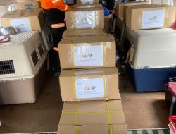 Terus Bergerak Cepat, Polri Kirim 10 K9 dan 3,4 Ton Bantuan Kemanusiaan ke NTT