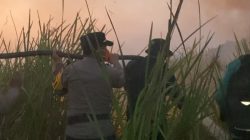 Karhutla di Taman Nasional Way Kambas Berhasil Dipadamkan — 200 Personel Gabungan Lanjutkan Pembasahan & Pemantauan