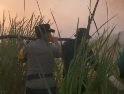Karhutla di Taman Nasional Way Kambas Berhasil Dipadamkan — 200 Personel Gabungan Lanjutkan Pembasahan & Pemantauan