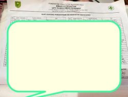 Isu Pemalsuan Data Cek Kesehatan Gratis di Puskesmas Peranap, Diminta Kajari Turun Tangan