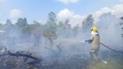 BNPB: Karhutla Melanda Sejumlah Wilayah, Tim Gabungan Tetap Bergerak Cepat di Tengah Suasana HUT RI ke- 81