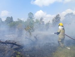 BNPB: Karhutla Melanda Sejumlah Wilayah, Tim Gabungan Tetap Bergerak Cepat di Tengah Suasana HUT RI ke- 81