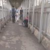 Lapak PKL Penuhi JPO Semanggi, Pejalan Kaki Resah — Satpol PP & Pemkot Jakpus Diminta Sterilkan Fasilitas Umum