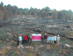 Kemenhut Jatuhkan Sanksi 6 Perusahaan, PT MPK Dibekukan Izin — Areal Terbakar Capai 1.511 Hektare