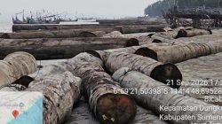 Kemenhut Telusuri Asal-Usul 697 Batang Kayu Log Hanyut di Perairan Sumenep, Akan Dikumpulkan Kembali