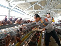 Polda Metro Jaya Jadi Contoh Ketahanan Pangan, Polri Ajak Jajaran Optimalkan Potensi Wilayah