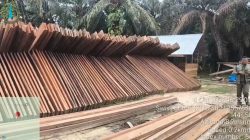 Kayu Liar Menumpuk di Tasik Serai, Sunar Mangkir — Dua Orang Mengaku Wartawan Hadang Awak Media, Aparat Masih Bungkam!