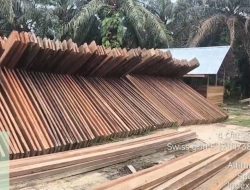 Kayu Liar Menumpuk di Tasik Serai, Sunar Mangkir — Dua Orang Mengaku Wartawan Hadang Awak Media, Aparat Masih Bungkam!